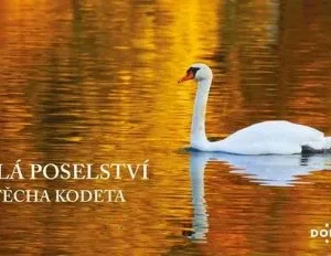 Kalendář 2026 Malá poselství Vojtěcha Kodeta